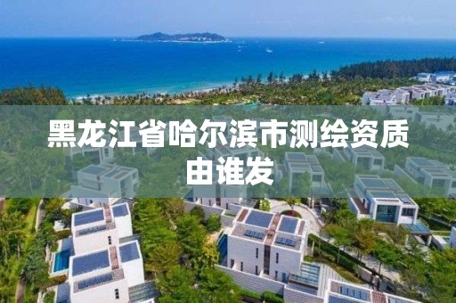 黑龍江省哈爾濱市測繪資質由誰發