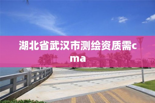 湖北省武漢市測繪資質需cma