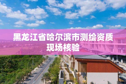 黑龍江省哈爾濱市測繪資質現場核驗