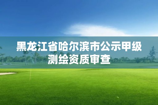 黑龍江省哈爾濱市公示甲級測繪資質審查