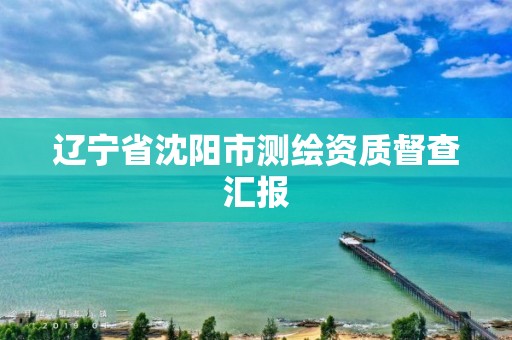 遼寧省沈陽(yáng)市測(cè)繪資質(zhì)督查匯報(bào)