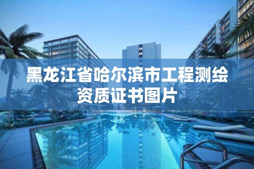 黑龍江省哈爾濱市工程測繪資質(zhì)證書圖片