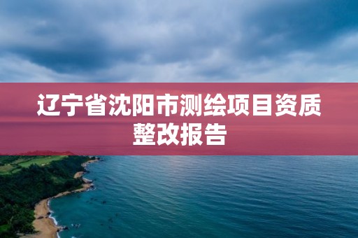 遼寧省沈陽市測繪項目資質整改報告