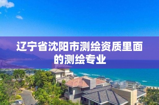 遼寧省沈陽市測繪資質里面的測繪專業