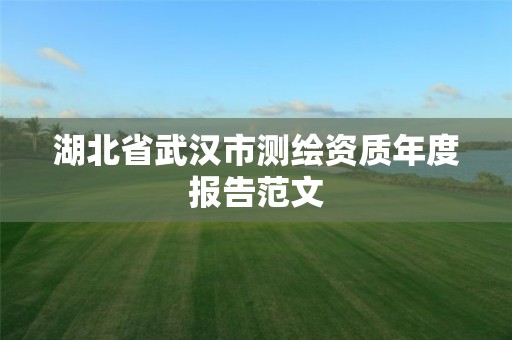 湖北省武漢市測繪資質(zhì)年度報告范文