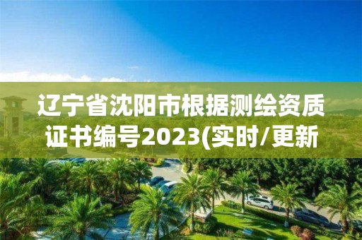 遼寧省沈陽市根據測繪資質證書編號2023(實時/更新中)