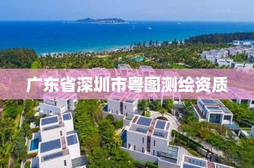 廣東省深圳市粵圖測繪資質