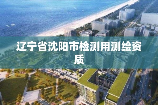 遼寧省沈陽市檢測用測繪資質