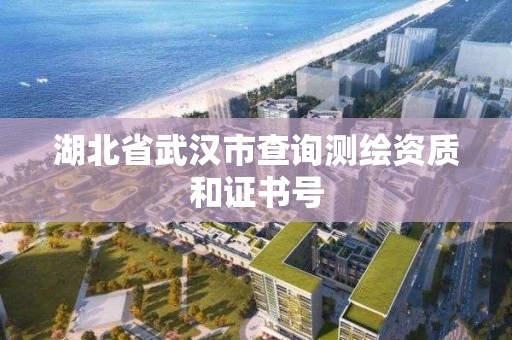 湖北省武漢市查詢測繪資質和證書號