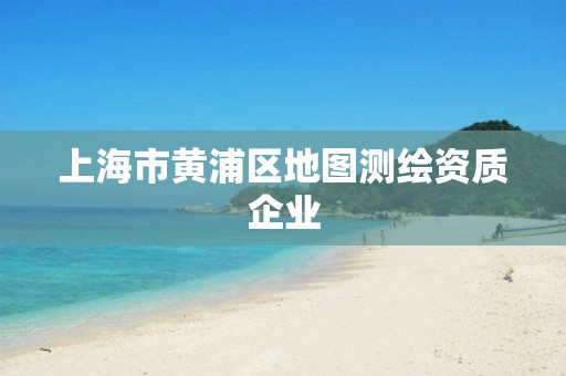 上海市黃浦區(qū)地圖測繪資質企業(yè)