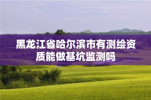 黑龍江省哈爾濱市有測繪資質能做基坑監測嗎