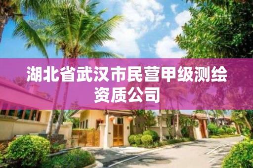 湖北省武漢市民營甲級測繪資質(zhì)公司