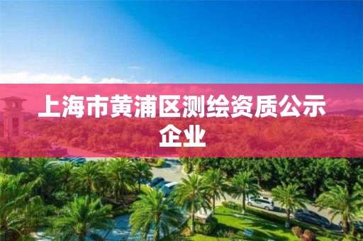 上海市黃浦區測繪資質公示企業