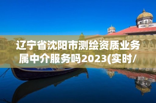 遼寧省沈陽市測繪資質業務屬中介服務嗎2023(實時/更新中)