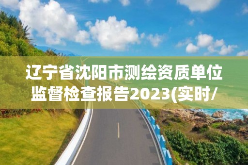 遼寧省沈陽市測繪資質單位監督檢查報告2023(實時/更新中)