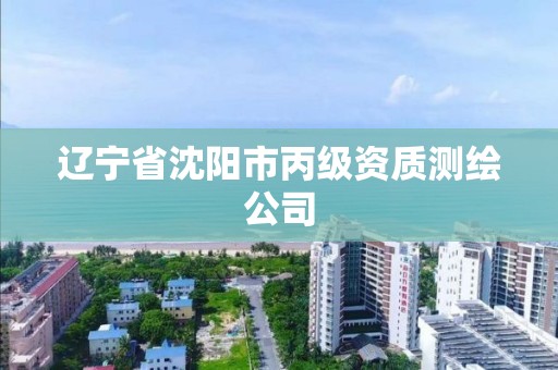 遼寧省沈陽市丙級資質測繪公司