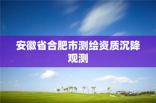 安徽省合肥市測(cè)繪資質(zhì)沉降觀測(cè)