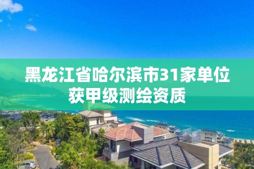 黑龍江省哈爾濱市31家單位獲甲級(jí)測(cè)繪資質(zhì)