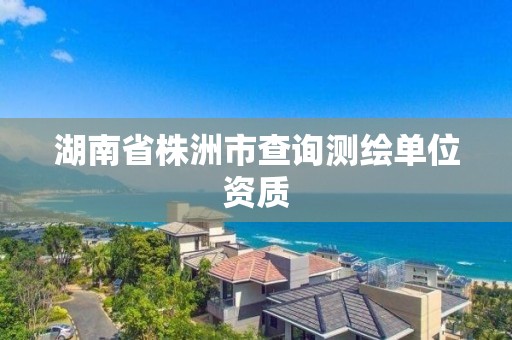 湖南省株洲市查詢測繪單位資質