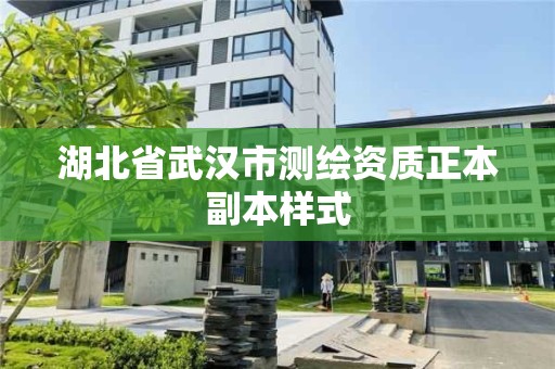 湖北省武漢市測繪資質正本副本樣式