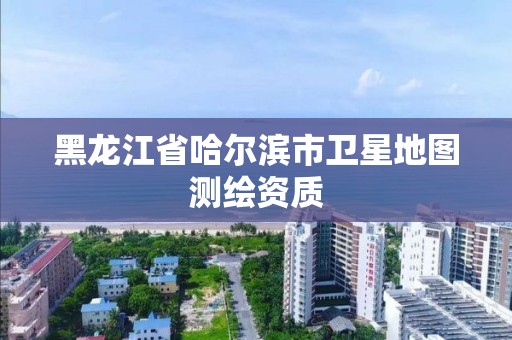 黑龍江省哈爾濱市衛星地圖測繪資質