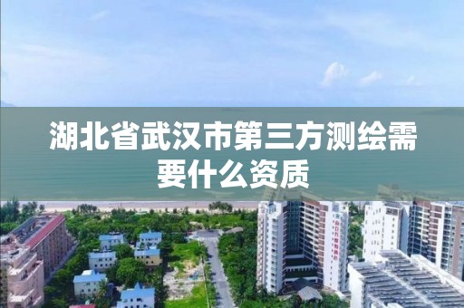 湖北省武漢市第三方測繪需要什么資質