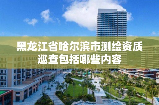 黑龍江省哈爾濱市測繪資質(zhì)巡查包括哪些內(nèi)容