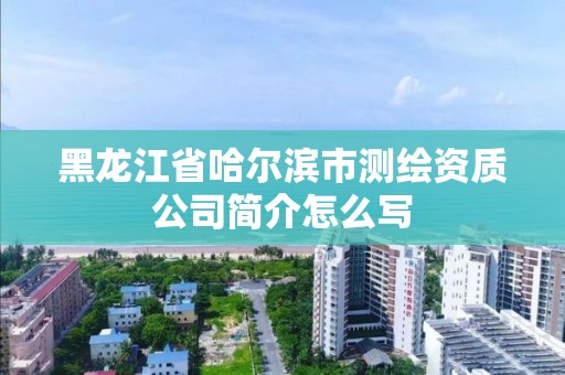 黑龍江省哈爾濱市測(cè)繪資質(zhì)公司簡(jiǎn)介怎么寫(xiě)