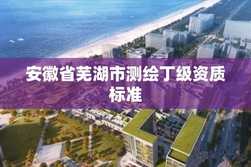 安徽省蕪湖市測繪丁級資質標準