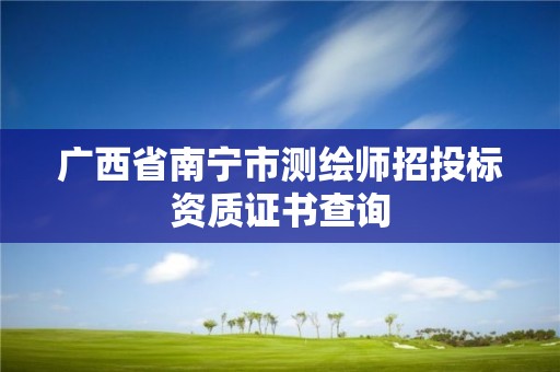 廣西省南寧市測(cè)繪師招投標(biāo)資質(zhì)證書查詢