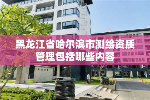 黑龍江省哈爾濱市測繪資質管理包括哪些內容