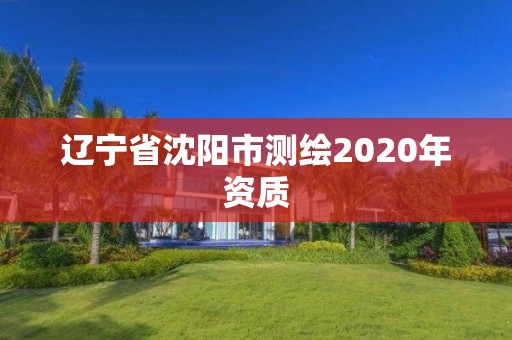 遼寧省沈陽市測繪2020年資質(zhì)