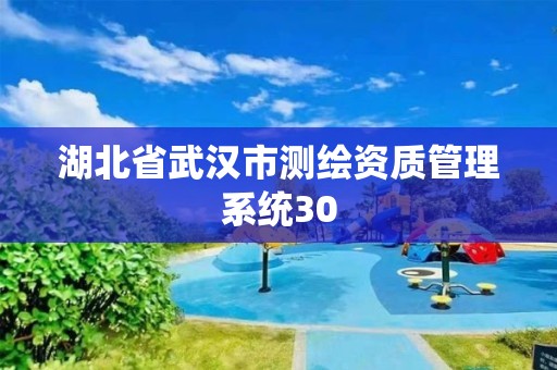 湖北省武漢市測繪資質管理系統30