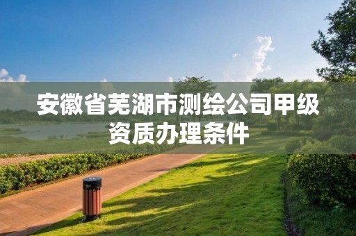 安徽省蕪湖市測繪公司甲級資質(zhì)辦理條件