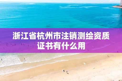 浙江省杭州市注銷測繪資質證書有什么用