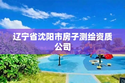 遼寧省沈陽市房子測繪資質公司