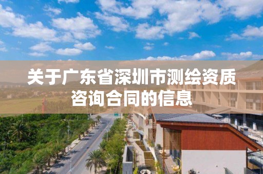 關于廣東省深圳市測繪資質咨詢合同的信息