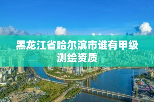 黑龍江省哈爾濱市誰有甲級測繪資質