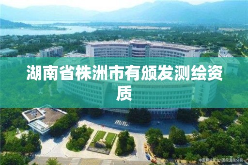 湖南省株洲市有頒發測繪資質