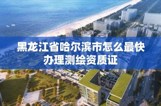 黑龍江省哈爾濱市怎么最快辦理測繪資質證