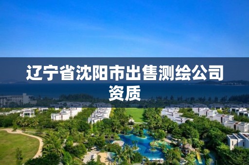 遼寧省沈陽市出售測繪公司資質