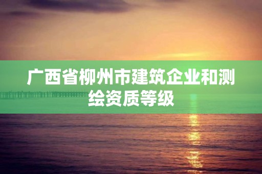 廣西省柳州市建筑企業和測繪資質等級