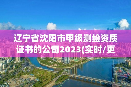 遼寧省沈陽市甲級測繪資質證書的公司2023(實時/更新中)