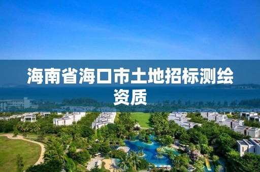 海南省海口市土地招標測繪資質