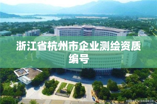 浙江省杭州市企業(yè)測繪資質編號