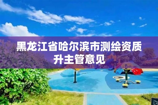 黑龍江省哈爾濱市測繪資質升主管意見