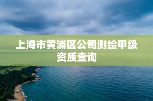 上海市黃浦區(qū)公司測繪甲級資質(zhì)查詢