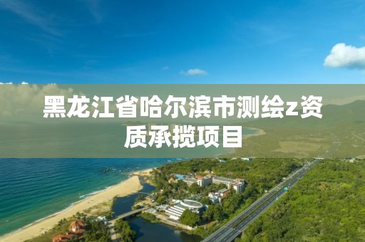 黑龍江省哈爾濱市測繪z資質承攬項目