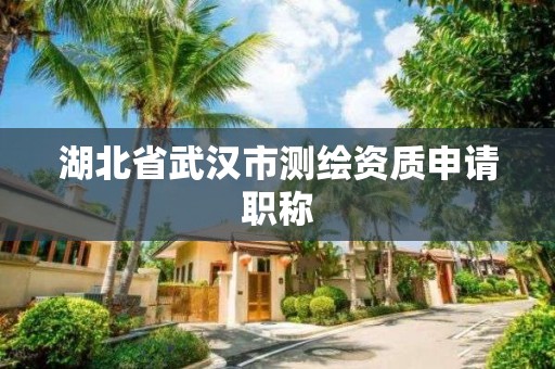 湖北省武漢市測繪資質申請職稱