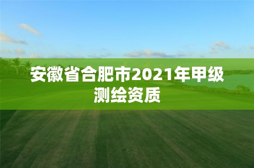 安徽省合肥市2021年甲級測繪資質